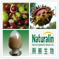 Horse Chestnut Extract (Aescin/ Escin/Aescigenin)